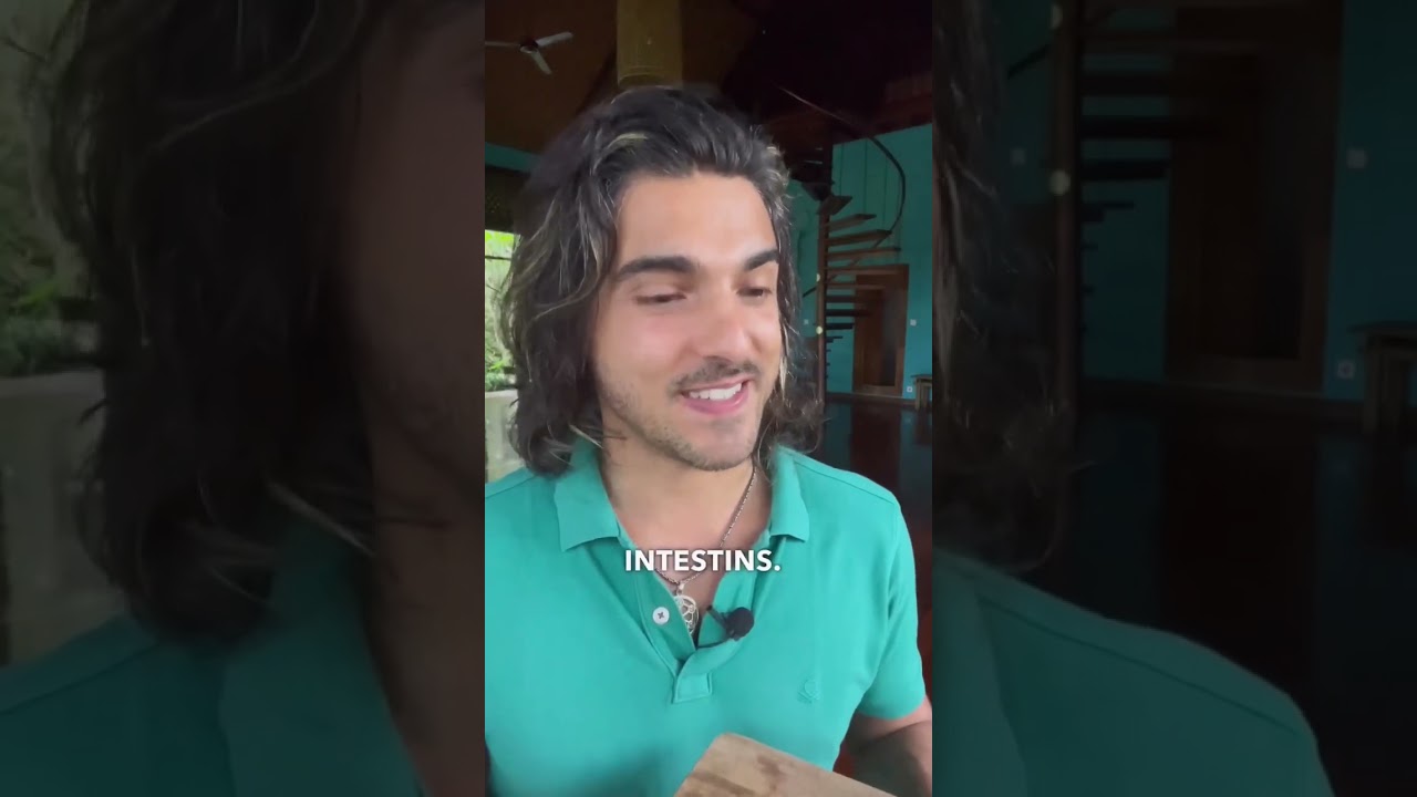 ⚠️ Pourquoi arrêter de manger la viande  et produits laitiers?