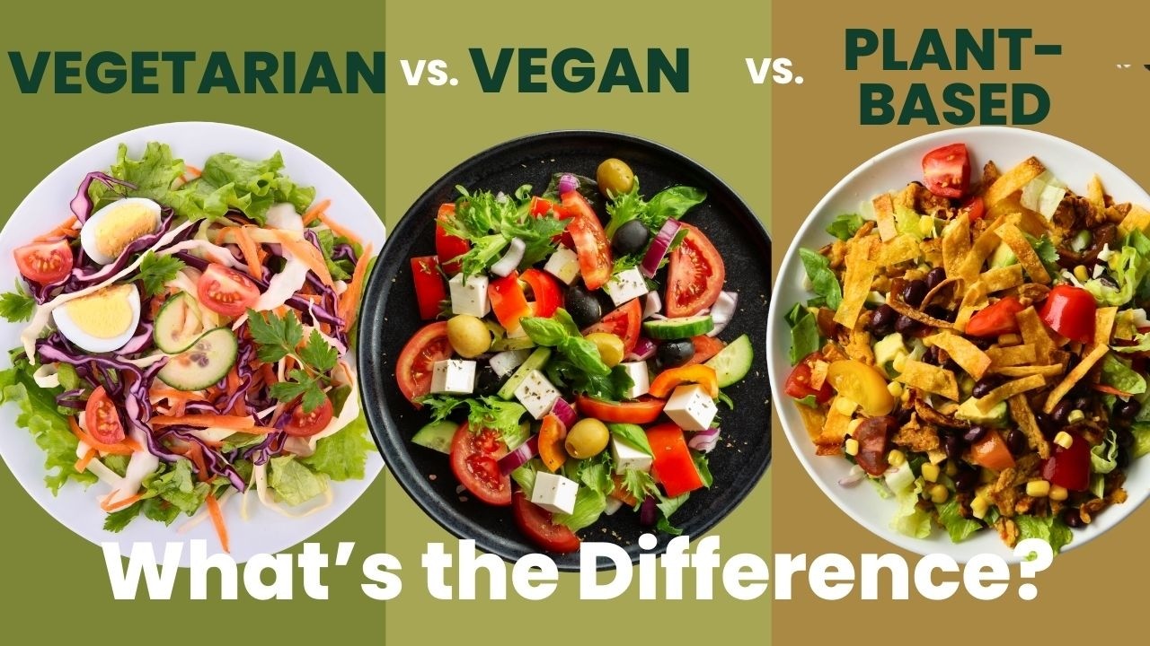 Vegan vs Vegetarian vs Plant-Based: Which Diet Is Actually Healthiest?