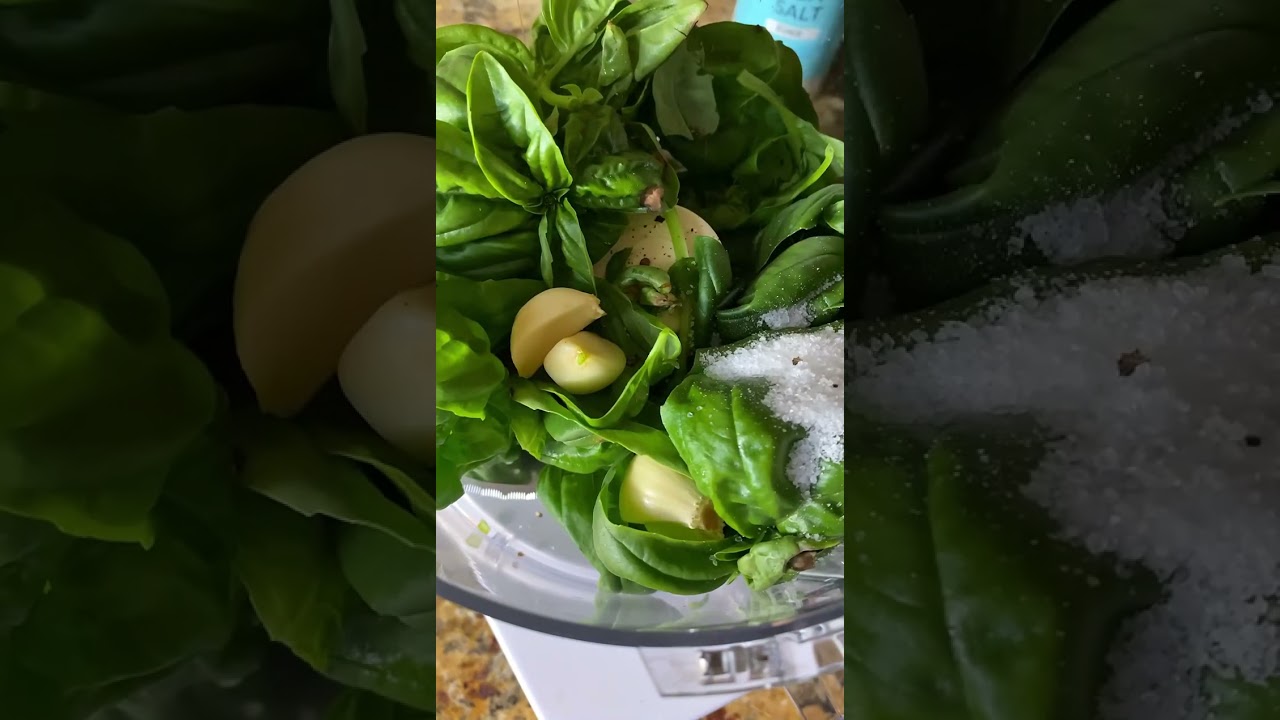 Pesto Recipe without Nuts