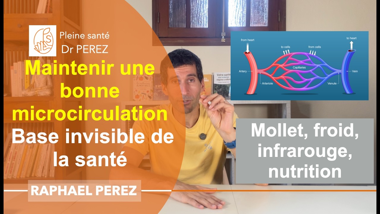 Ta circulation sanguine détermine ta santé - Comment renforcer naturellement la microcirculation ?