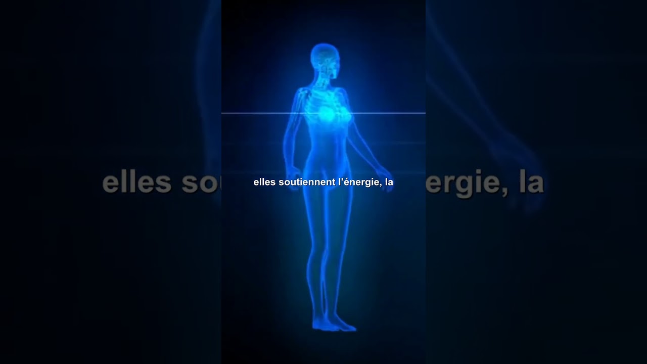 les graines de chia, les trésors des civilisations anciennes