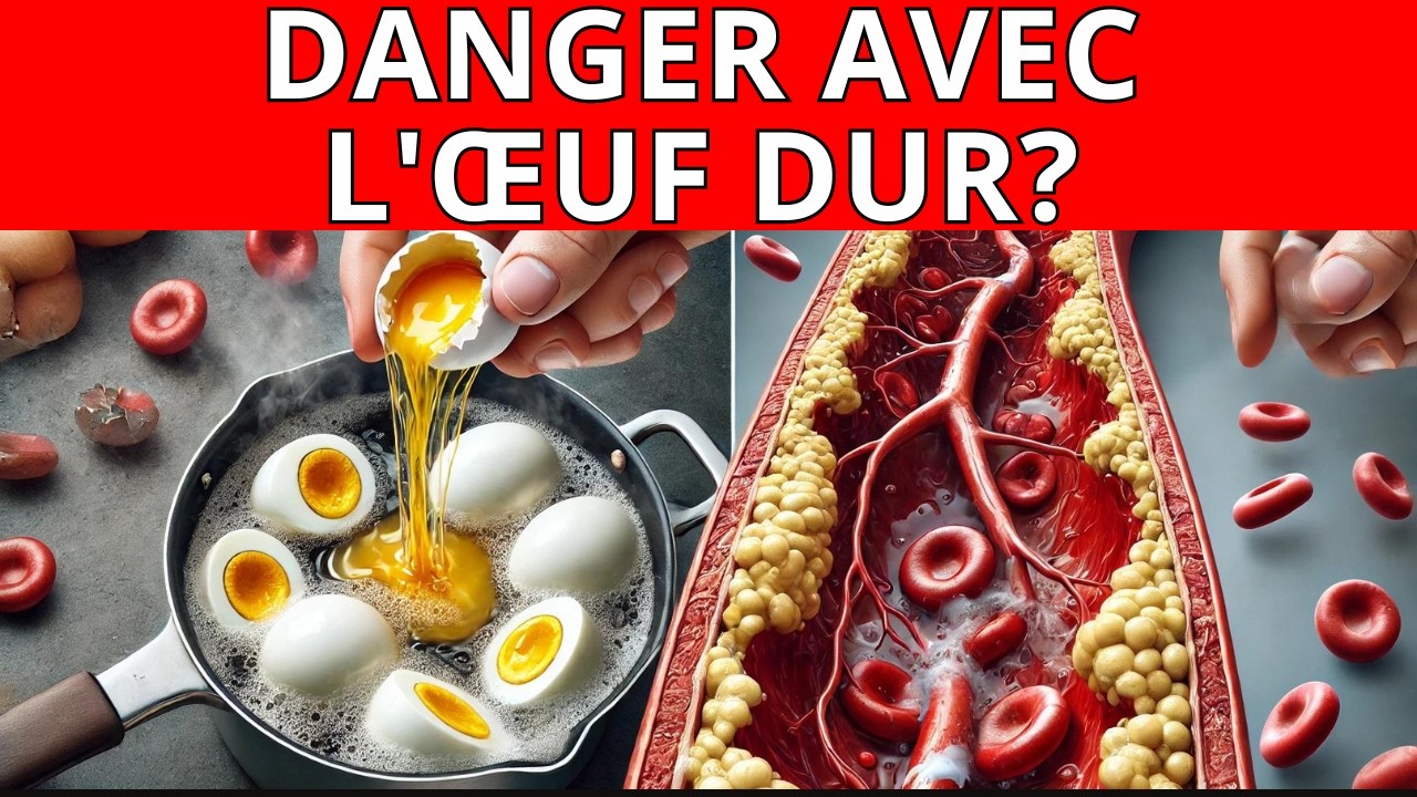 Incroyable ! Les bienfaits de manger un œuf dur tous les jours pour votre santé !