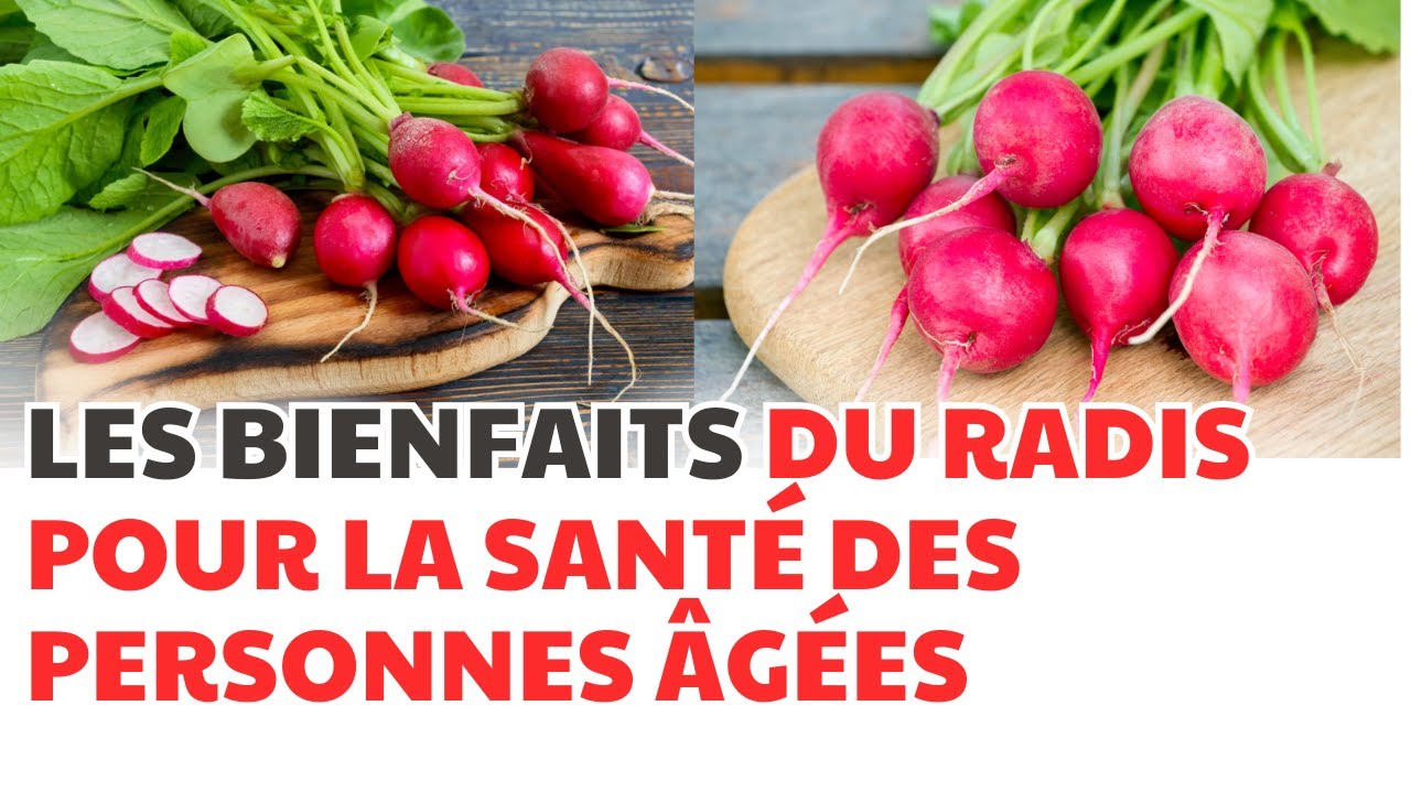 LES BIENFAITS DU RADIS POUR LA SANTÉ DES PERSONNES ÂGÉES | CDT NEWS