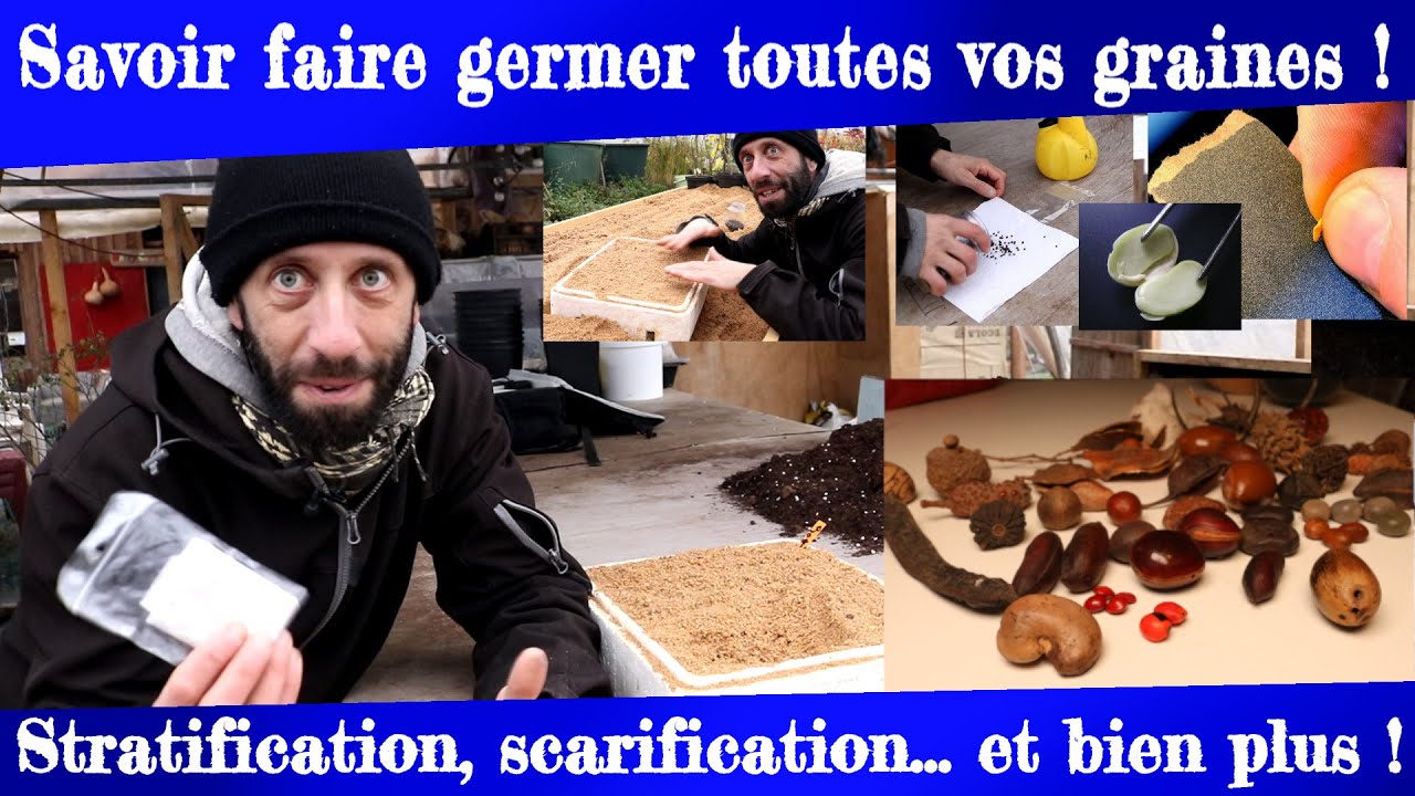 Savoir faire germer toutes vos graines ! Stratification, scarification, etc.