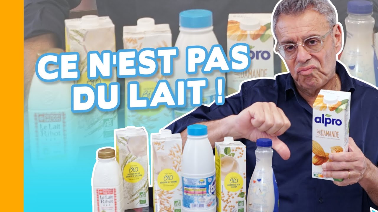 Le Lait Végétal ? C'est du Jus ! Pas du Lait ! Amande, Avoine, Soja...